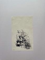 img_1243_1.jpg